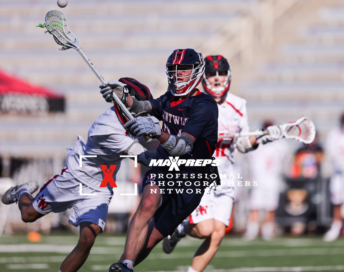 Samuel. M Photography tweet media