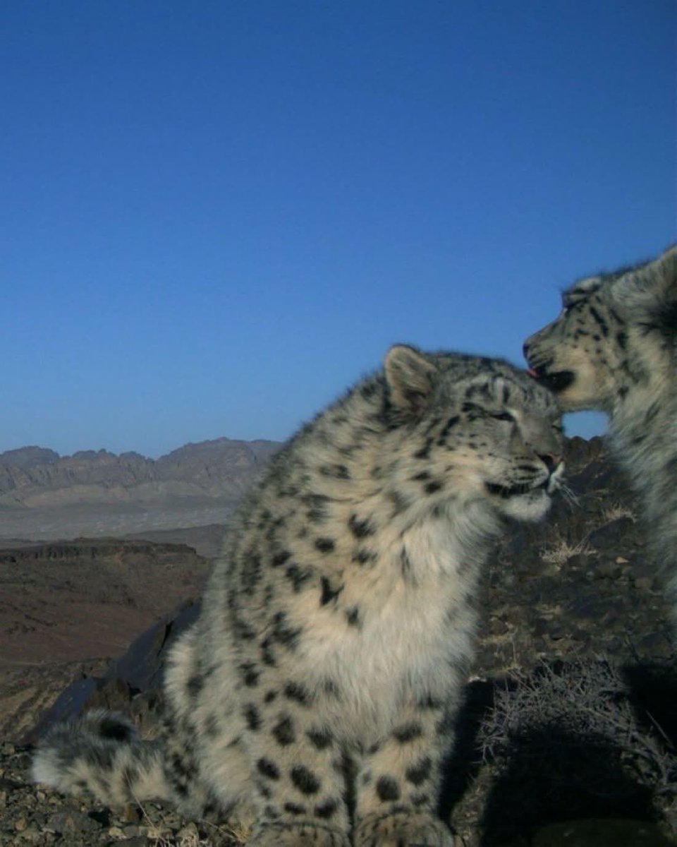 peace, love, and goon? anyways happy birthday to me teehee :]]]