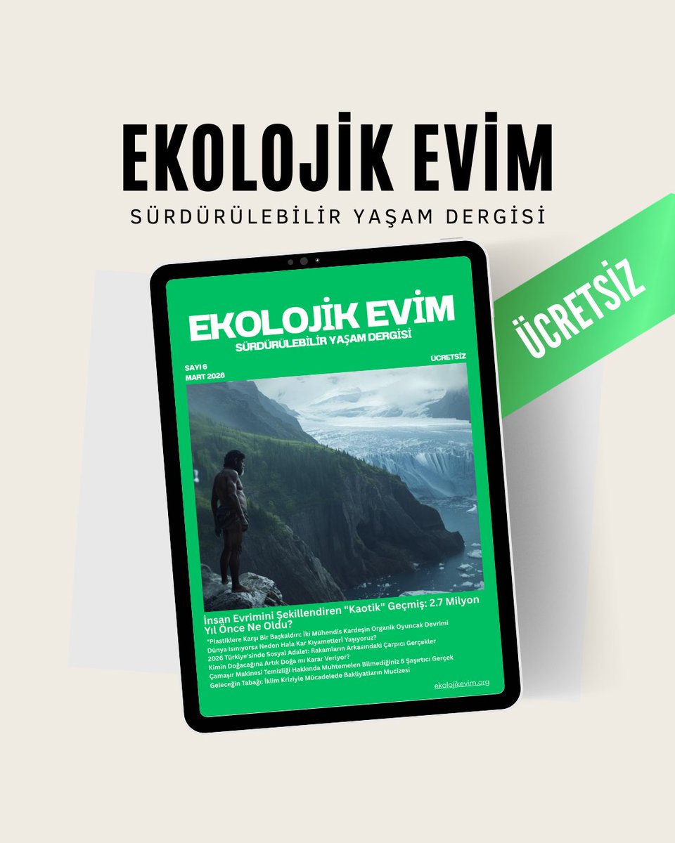 Ekolojik Evim (@EkolojikEvim) / Posts / X
