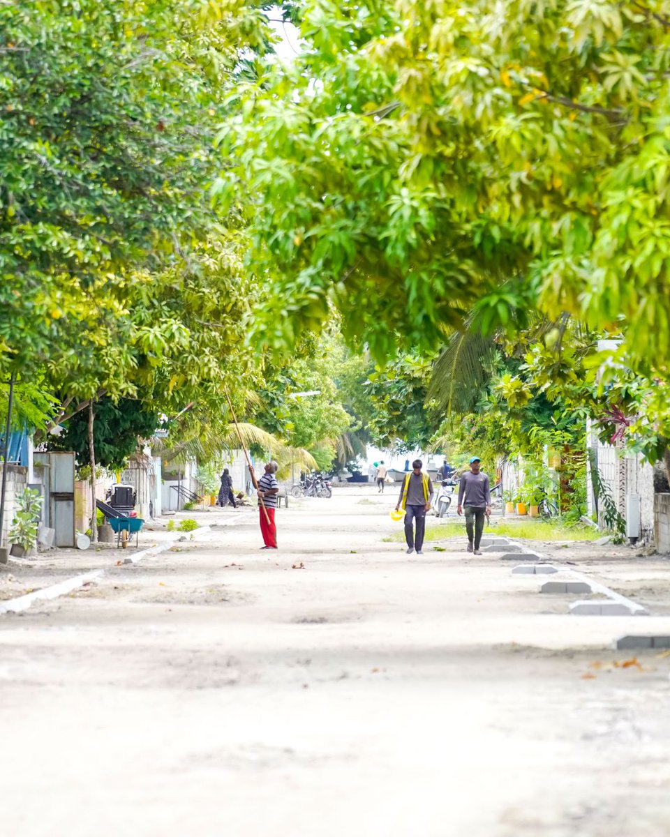 Island mornings, slow and simple. 🌿

#islandrooms #staylocal #maldivesgetaways #visitmaldives