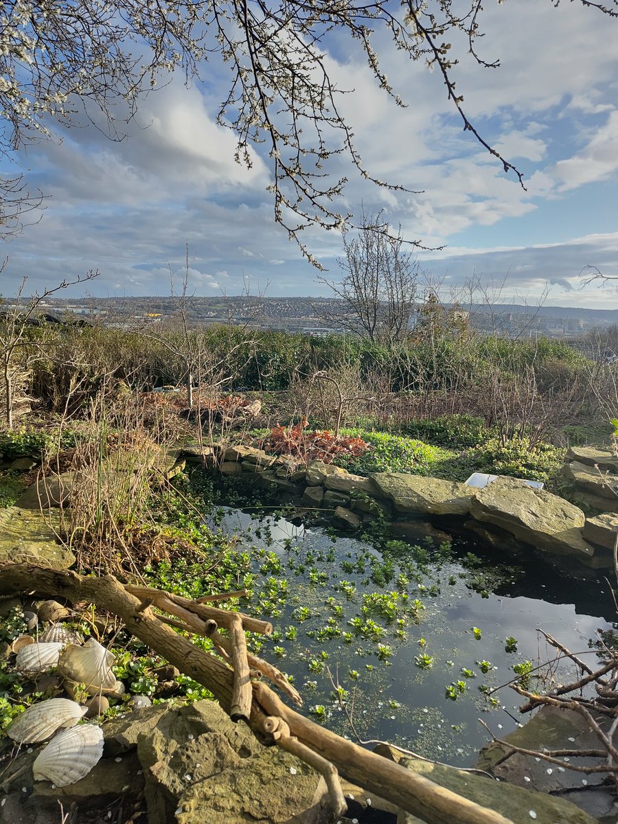 Andy Healey tweet media