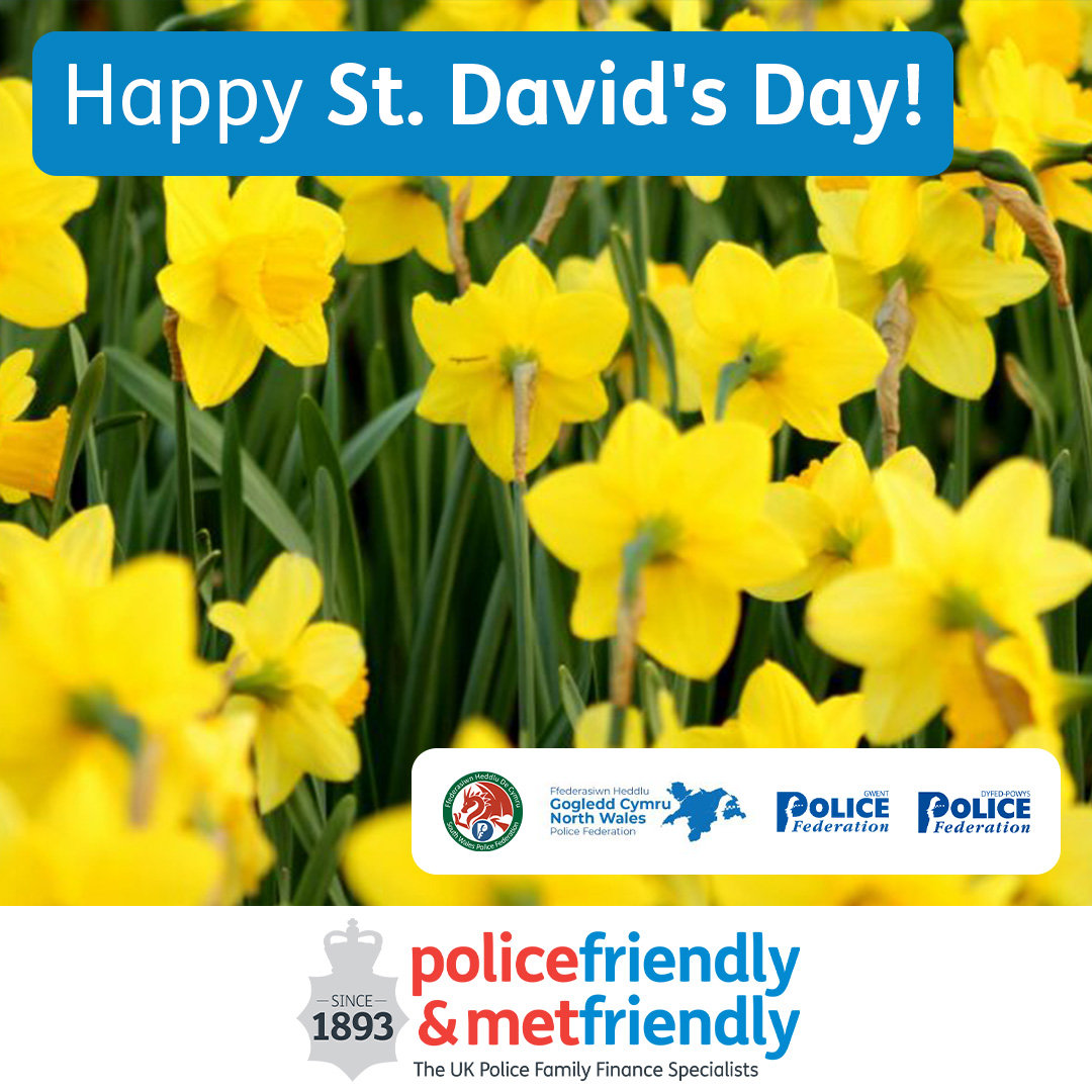 Metfriendly tweet media