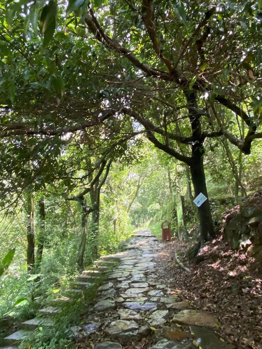 RichFriΞnd.ETH🦉.eth tweet media