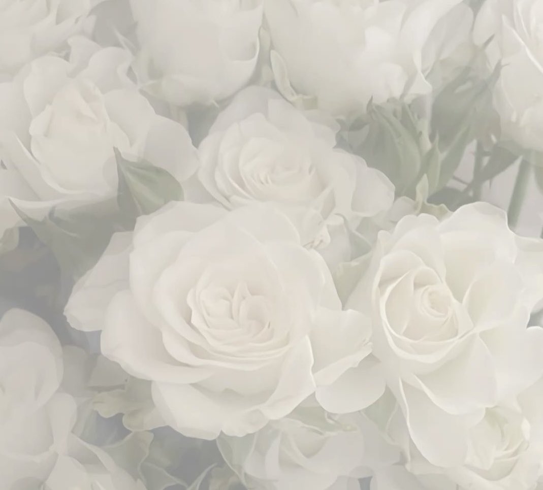 𝓈𝓊𝓃𝒶 tweet media