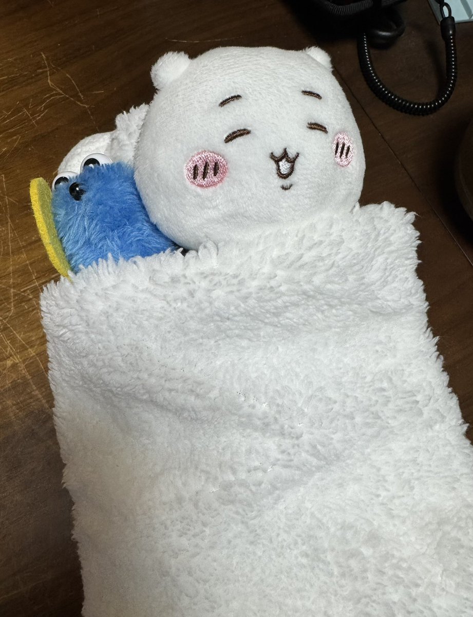 ねこっこ (@nekokkoooo) / Posts / X