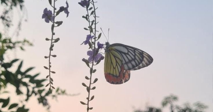 Sunday rays cutting through, celebrating OG Labs visionary stride in AI mental health companions that make support truly always-on.

OG Labs orchestrates empathetic agent networks on their sharded L1, processing voice tones, journal entries, and biometrics to deliver tailored