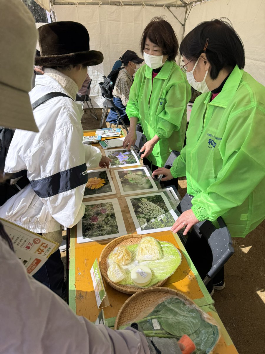 小堀セイジ 堺市議会議員（南区選出・りっけん）🍥 tweet media