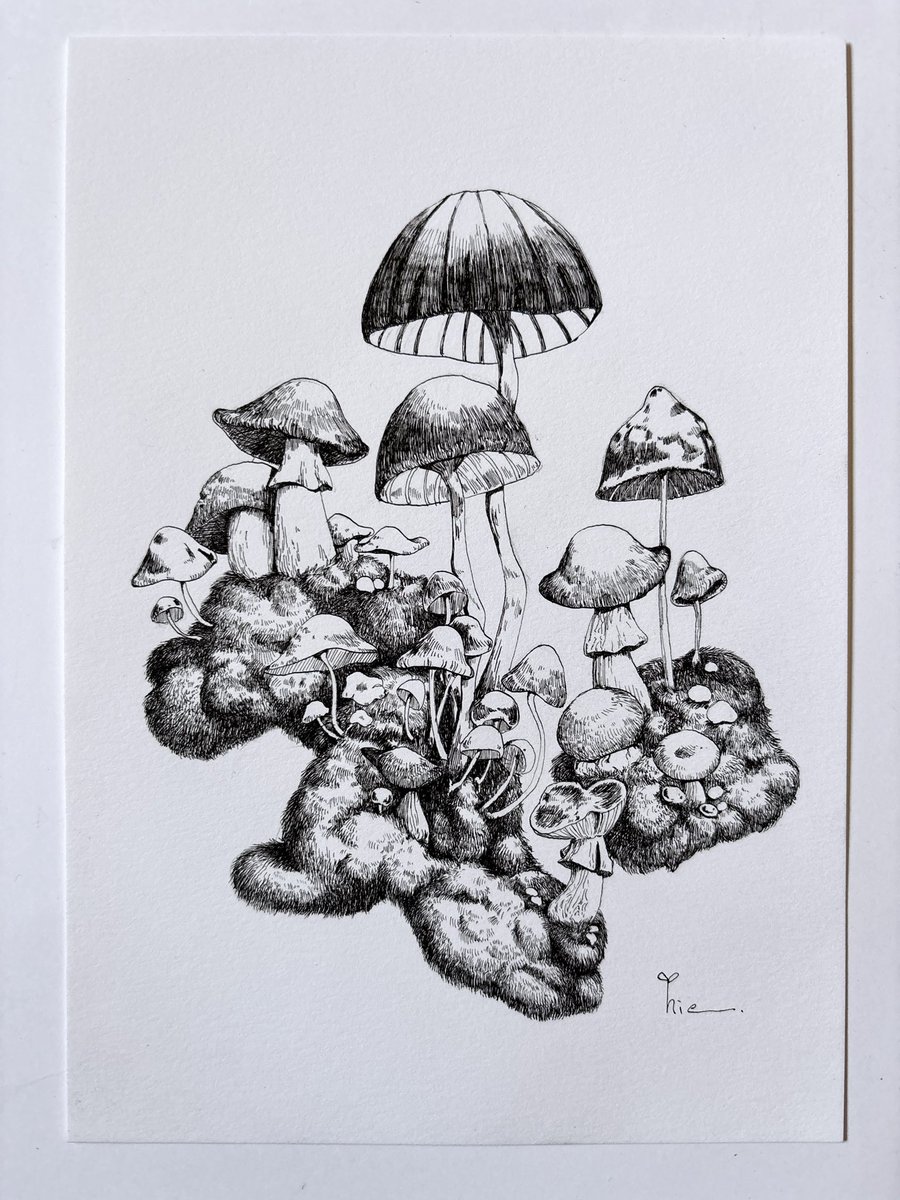 ペン画まで出来た
色はまた明日

 #ペン画 #アナログ #きのこ