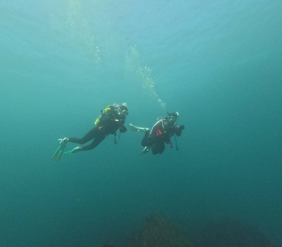 inatorimarine's tweet image. AOW講習🔥
ナチュラリスト・PPB・ナビの3本立て。

ドライで中性浮力は良い練習になります。

ブログ更新しました☞i-mc.co.jp/blog/

#AOW #アドバンス講習 #PPB #ナビゲーション #ナチュラリスト #ダイビング講習 #ドライスーツ