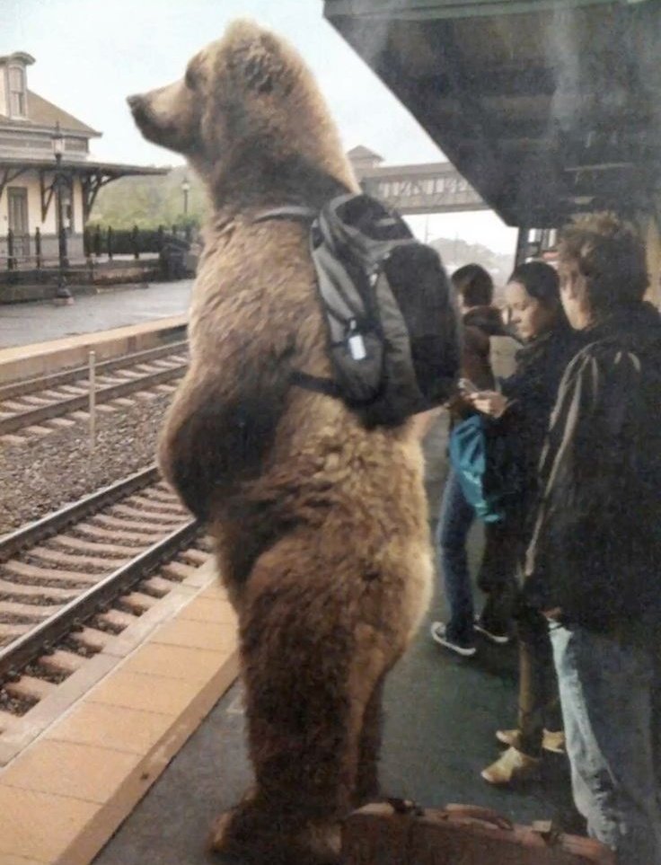 робби робинавич когда дана эванс сбросит на его мотоцикл чугунный колокол с пятого этажа