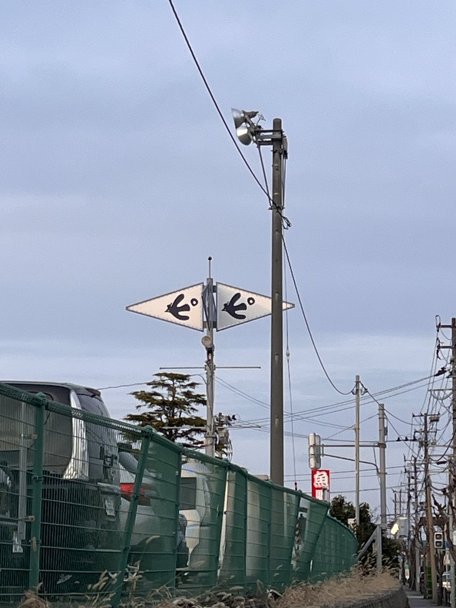 Feb4_24's tweet photo. ピ ピ https://t.co/NOnB1ukBn5
