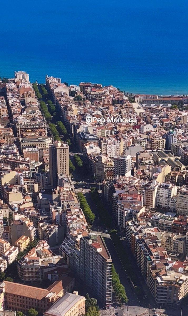 Pep Moncusí 🍻🛩️ tweet media