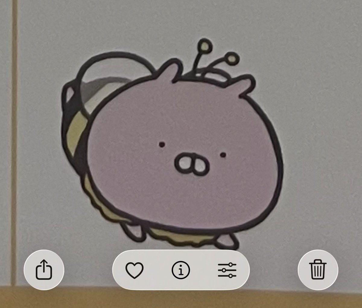 三月だ、 うさこ・🐝見つけた、 かわいい👻👻👻 #うさまる