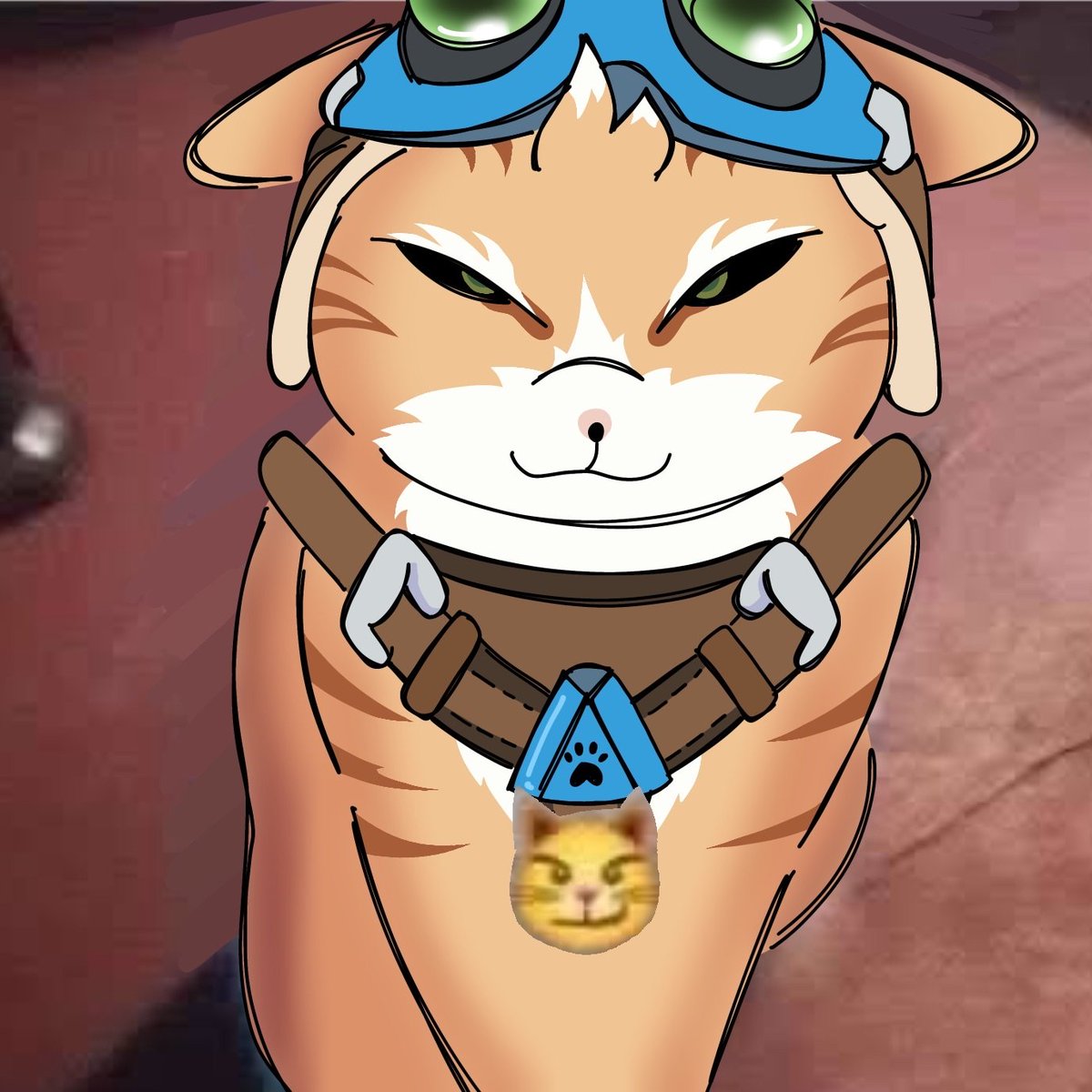 fes tweet media