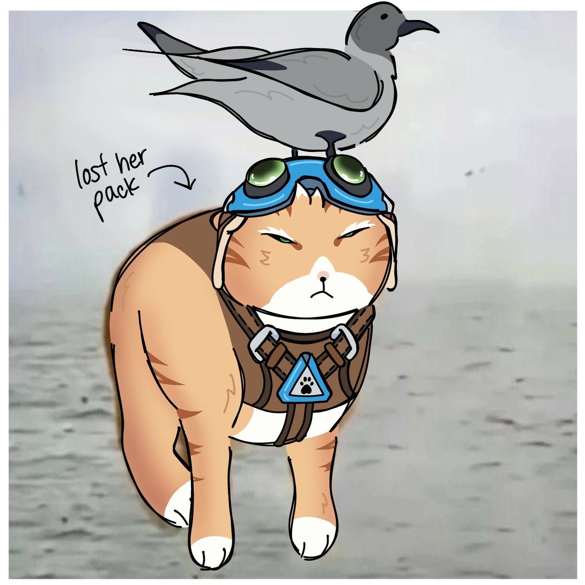 fes tweet media