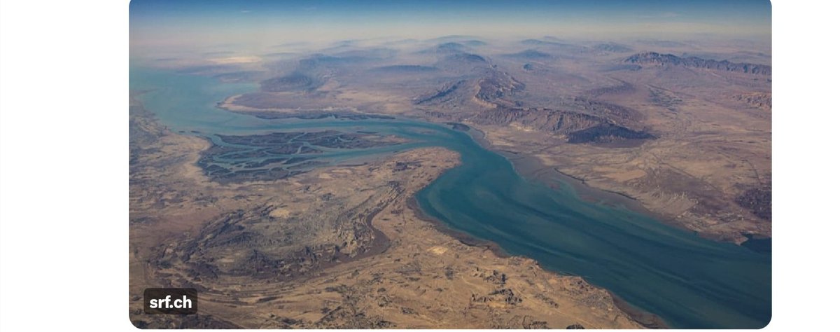 Gerald markel tweet media