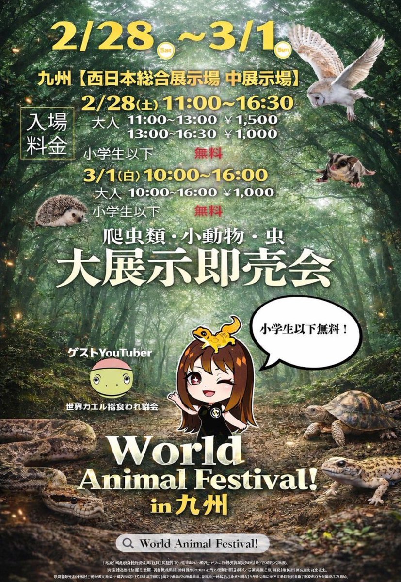 OG91949727's tweet image. WAFin九州2日間無事終了致しました。
ご来場頂いた皆様、ブースにお立ち寄りお迎え頂いた皆様誠に有り難う御座いました。
お迎え頂いた生体に関するご質問などは何時でもご連絡下さい。
また、主催者様スタッフの皆様大変お世話になりました、有り難う御座いました。
＃WAF
＃爬虫類イベント