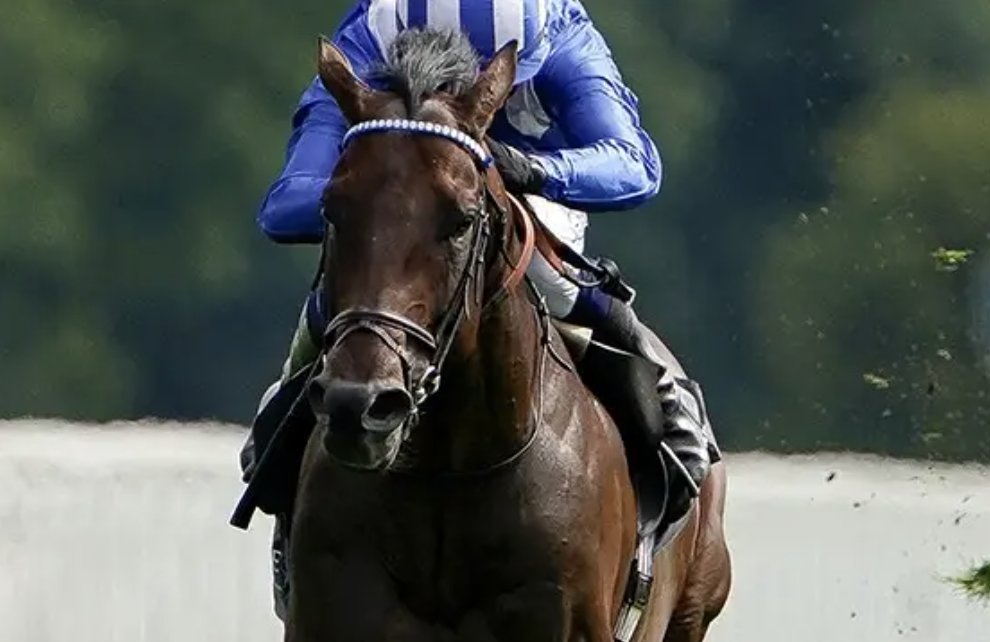 2018生世代がやはりエグ過ぎる件】 🇺🇸フライトライン 🇬🇧バーイード