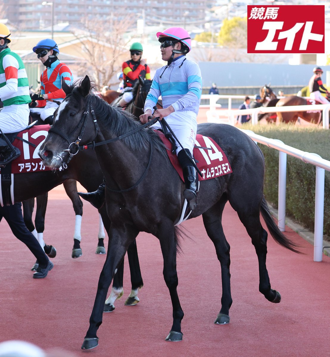 競馬エイト公式 (@keiba_eight) / Posts / X