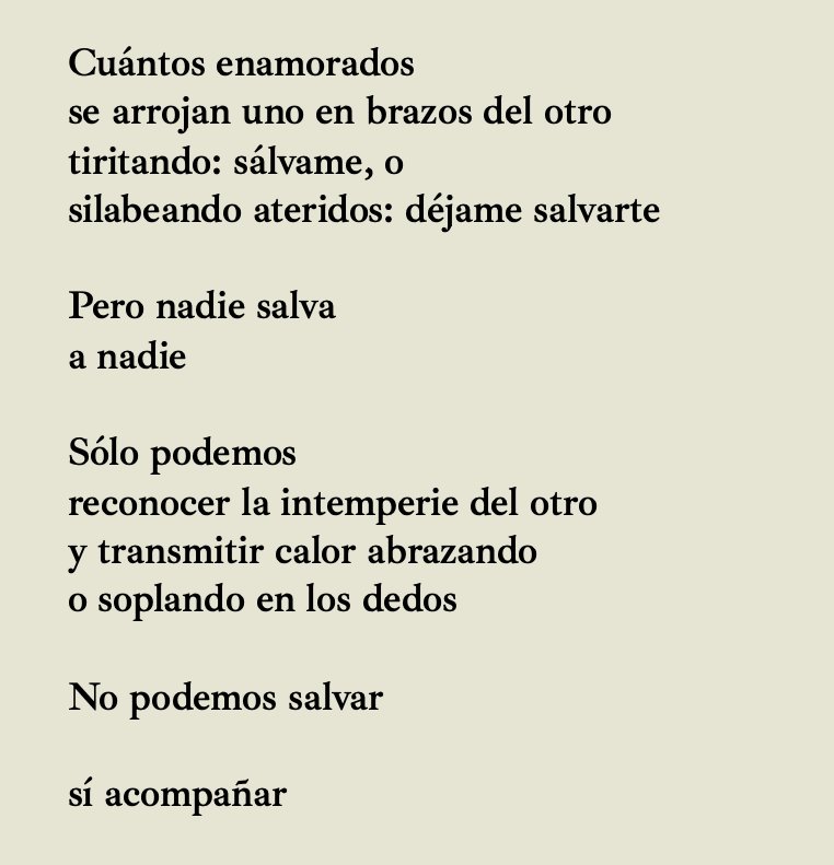 pgcasado's tweet photo. Hoy, un poema de @JorgeRiechmann https://t.co/jwy9A172Nz