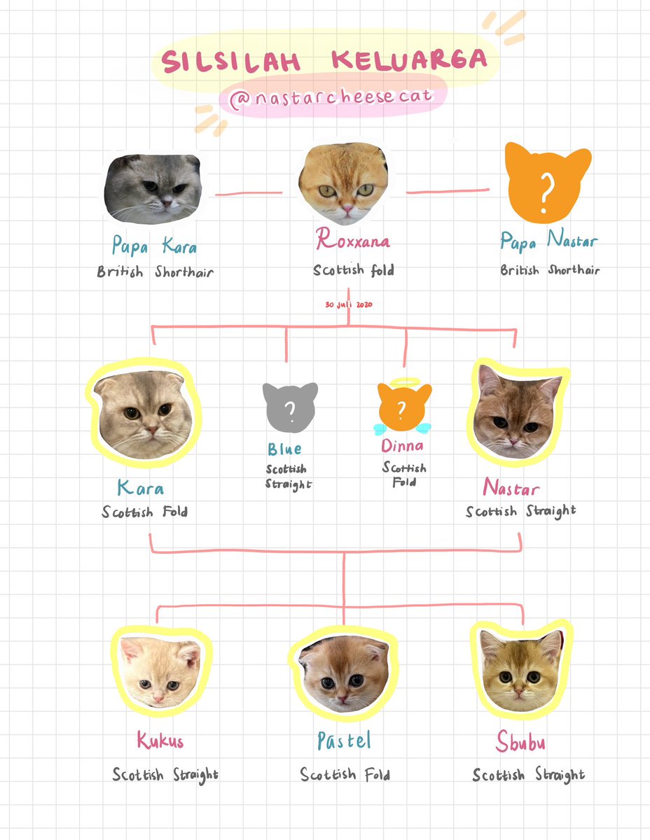 Nastar & Kara tweet media