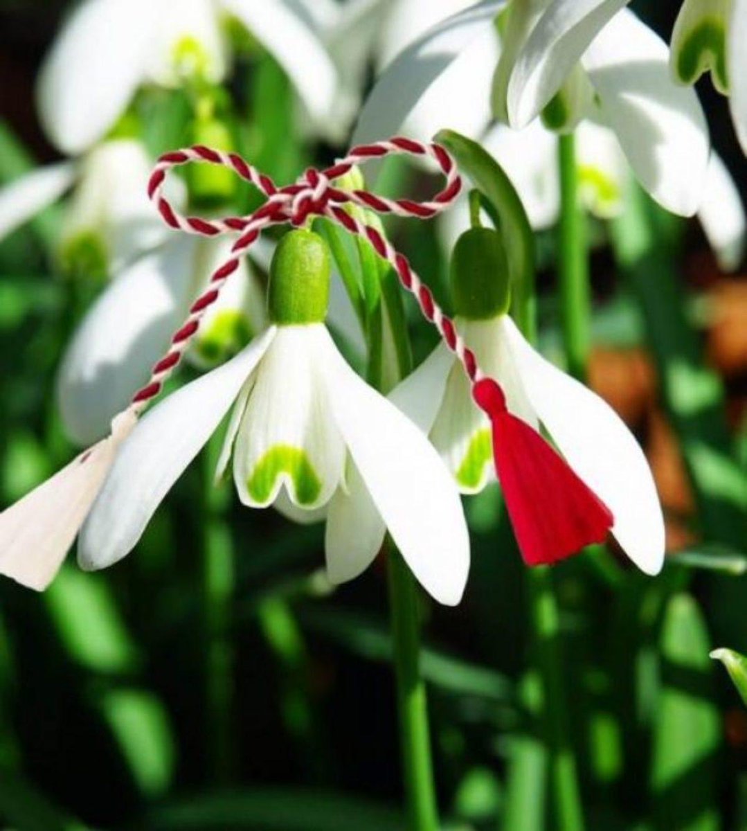 Welcoming spring with the symbol of Mărțișor! A celebration of renewal, hope, and cultural heritage recognized by <a href="/UNESCO/">UNESCO 🏛️ #Education #Sciences #Culture 🇺🇳</a>.  #1March #Romania 🇷🇴 , Republic of #Moldova 🇲🇩 , #Bulgaria 🇧🇬 , #NorthMacedonia 🇲🇰.