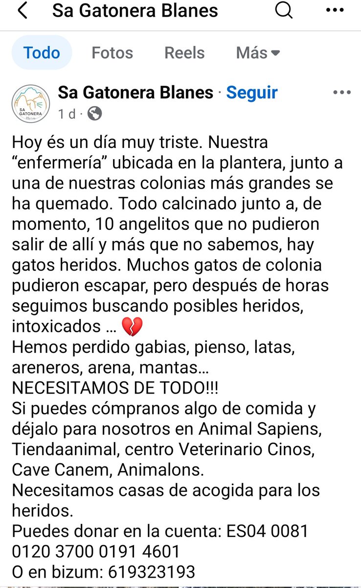 Àrees de Gossos Badalona tweet media