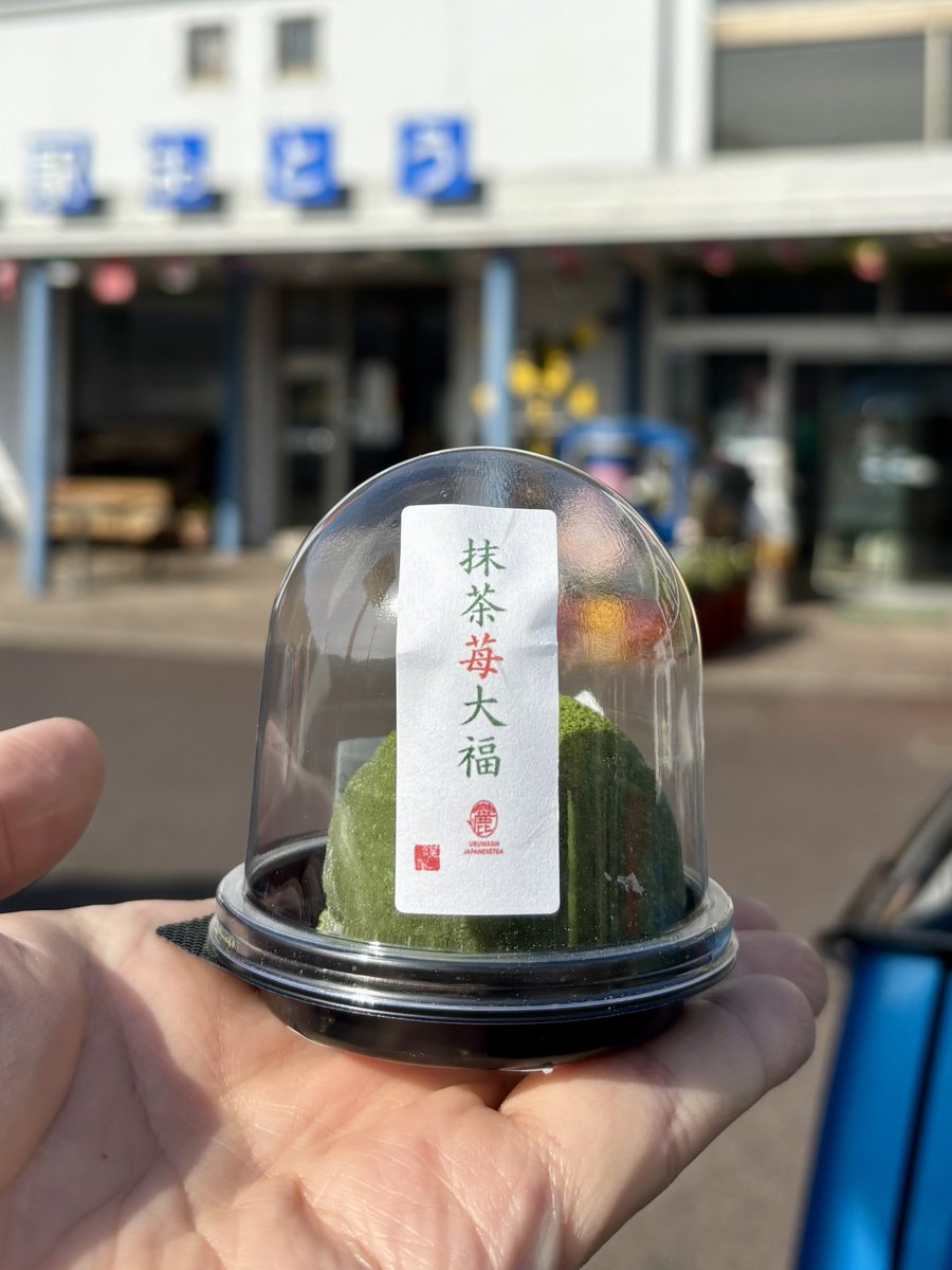 れもんパンダ🐼💛 (@lemon_rail) / Posts / X