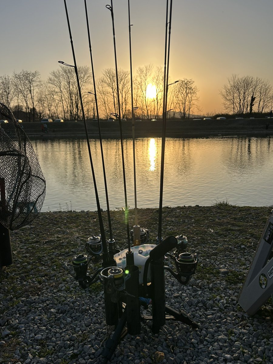 タカマサ (@t_txxx0718) / Posts / X