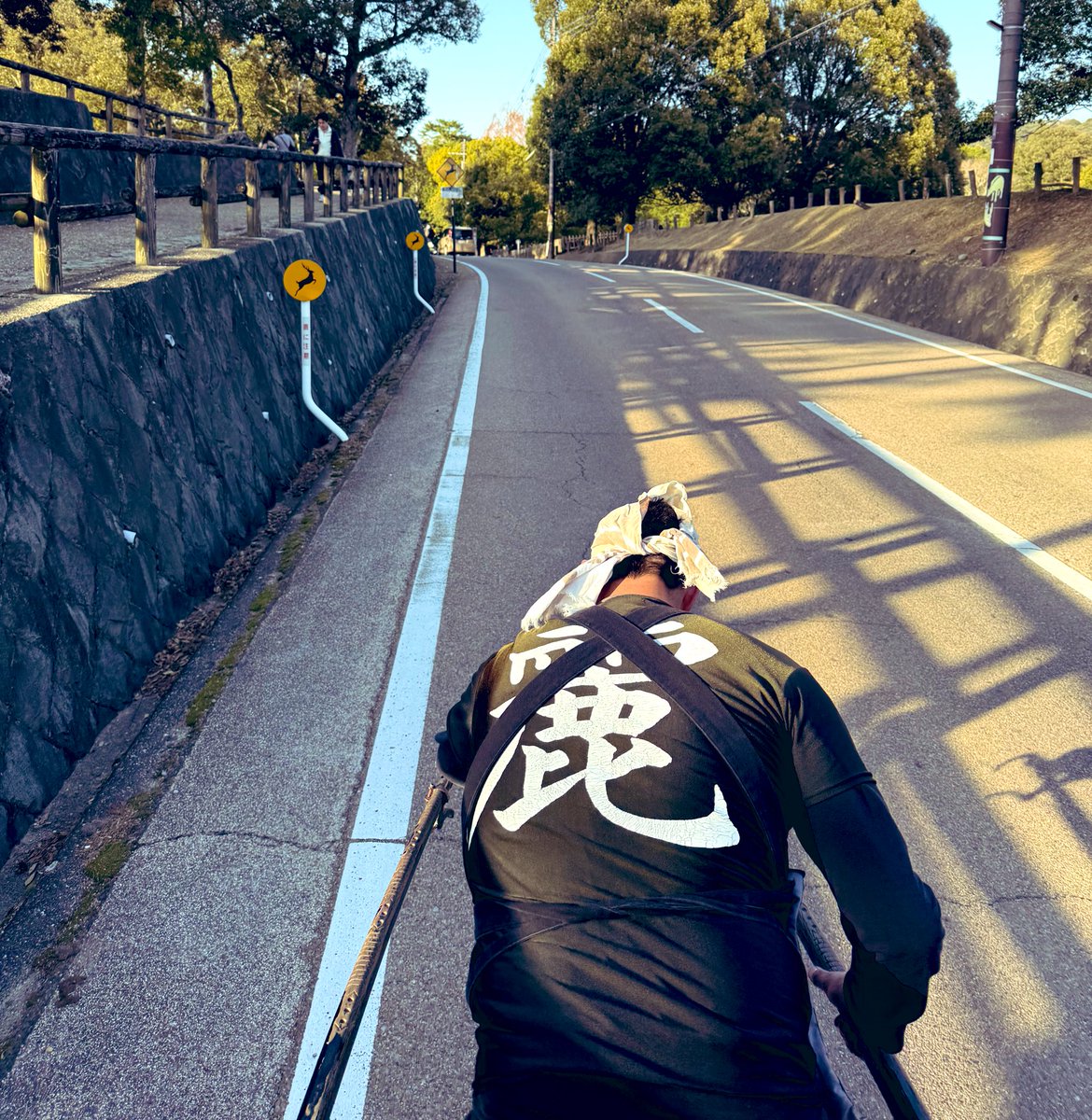 nishimo_camera's tweet photo. 奈良公園で人生初の人力車🚗
子どももテンション上がって楽しんでたし
お兄さんの話も上手で満足度高かった🫶
うちの子鹿と話せるみたいで
キーキー言い合ってて草 https://t.co/XTTuajqp1r