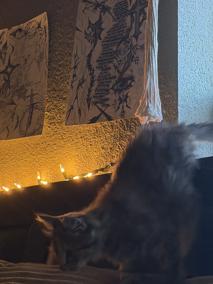 riven luna tweet media