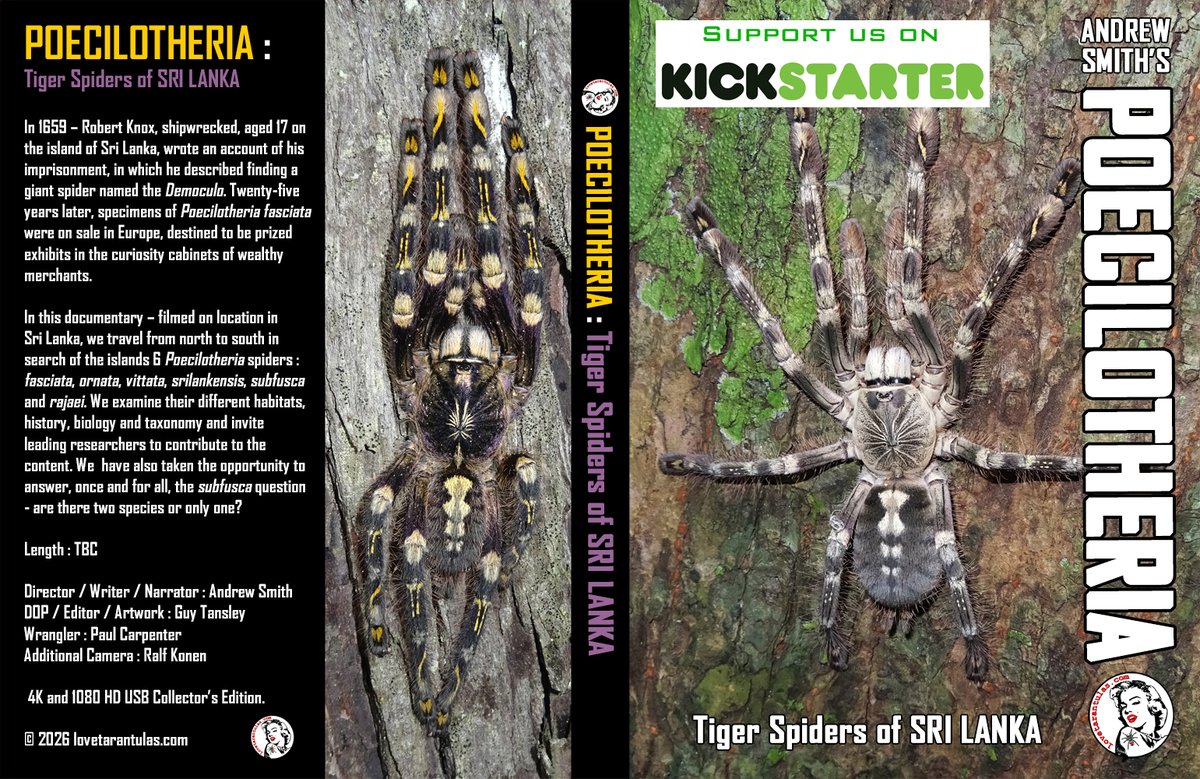 bugsnstuff.com tweet media