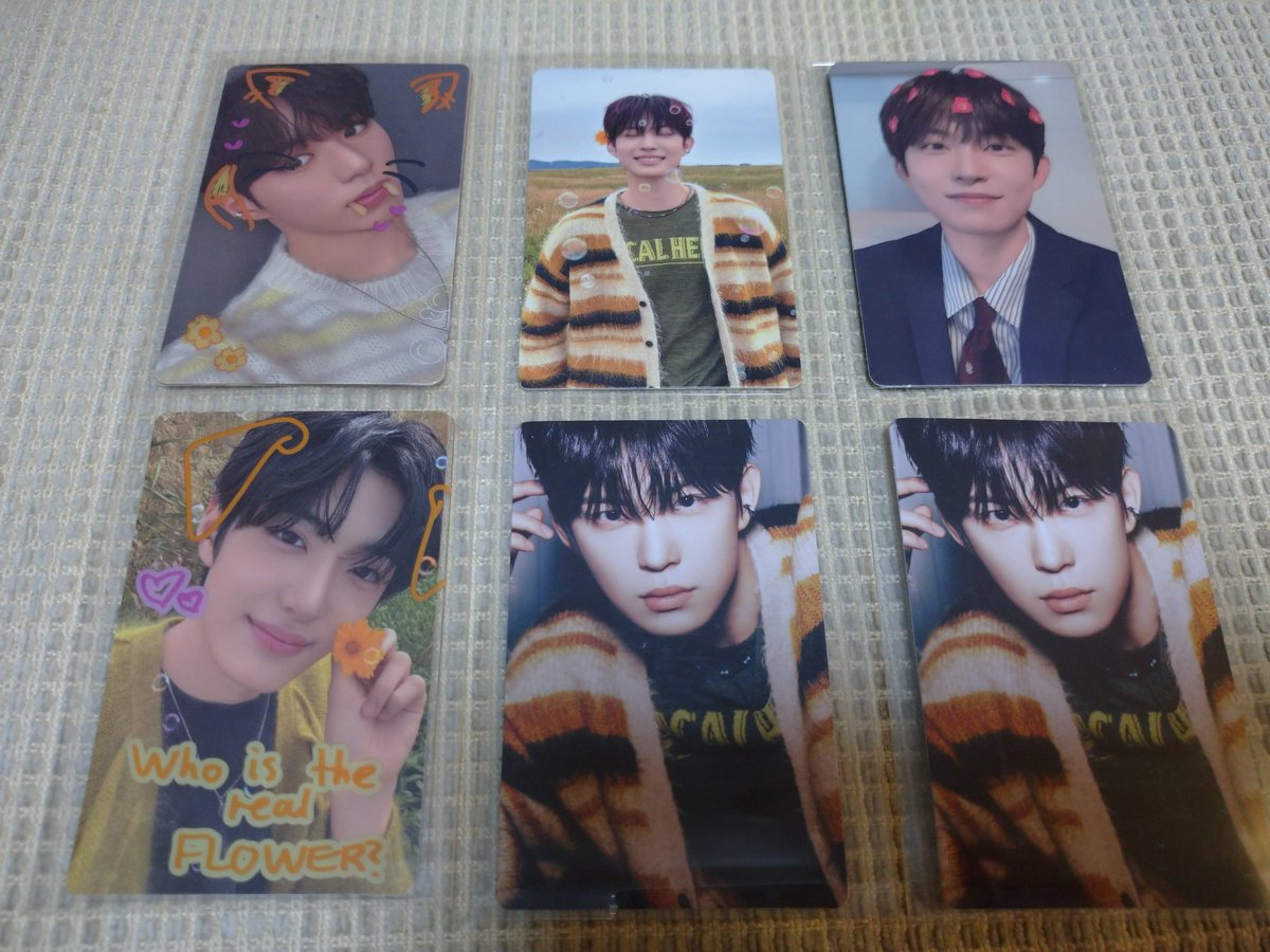 🐾🐾🐾 tweet media