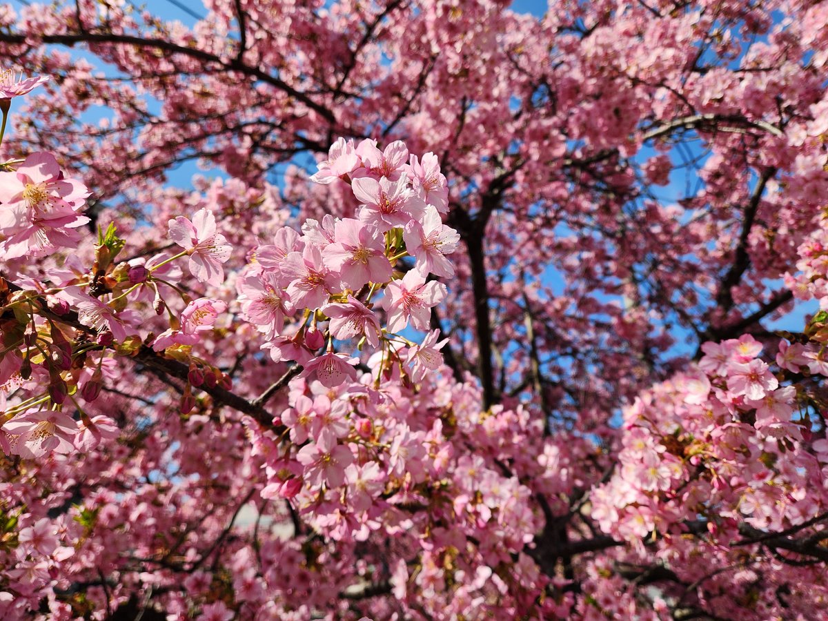 もう気がつけば3月ですね…✨🌸
今日の都内はほんとに過ごしやすくて心地よい気候でした(しかし花粉症だけが憎い)
今年度も残り1ヶ月、がんばっていきましょ！今月もよろしくお願いします☺️