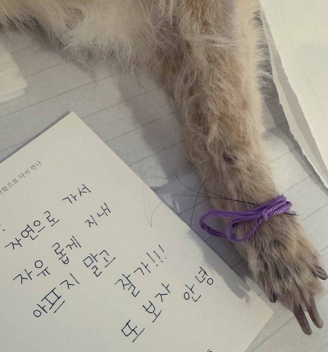 빈칸(Kind) Poet l Artist tweet media