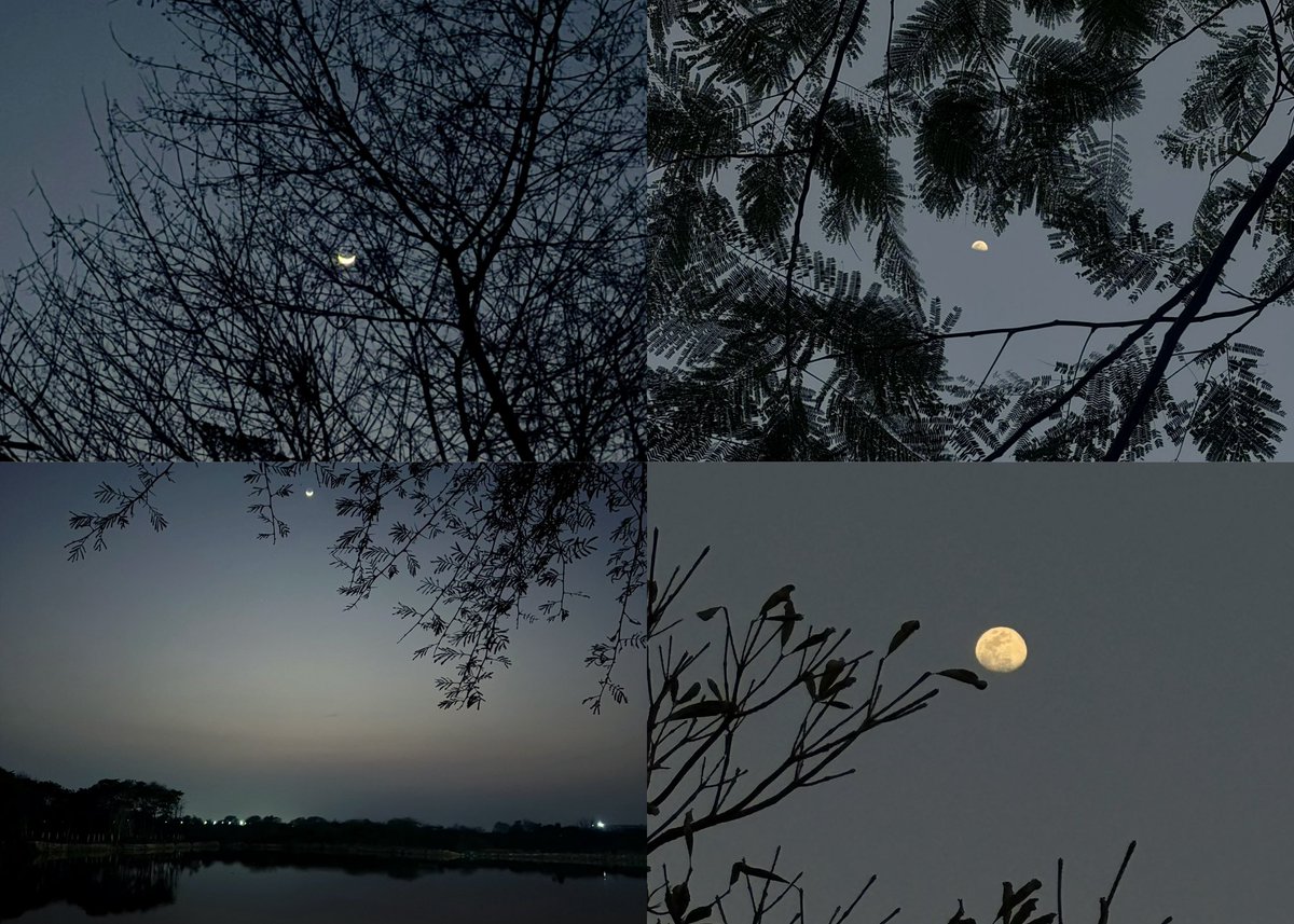 february through my eyes