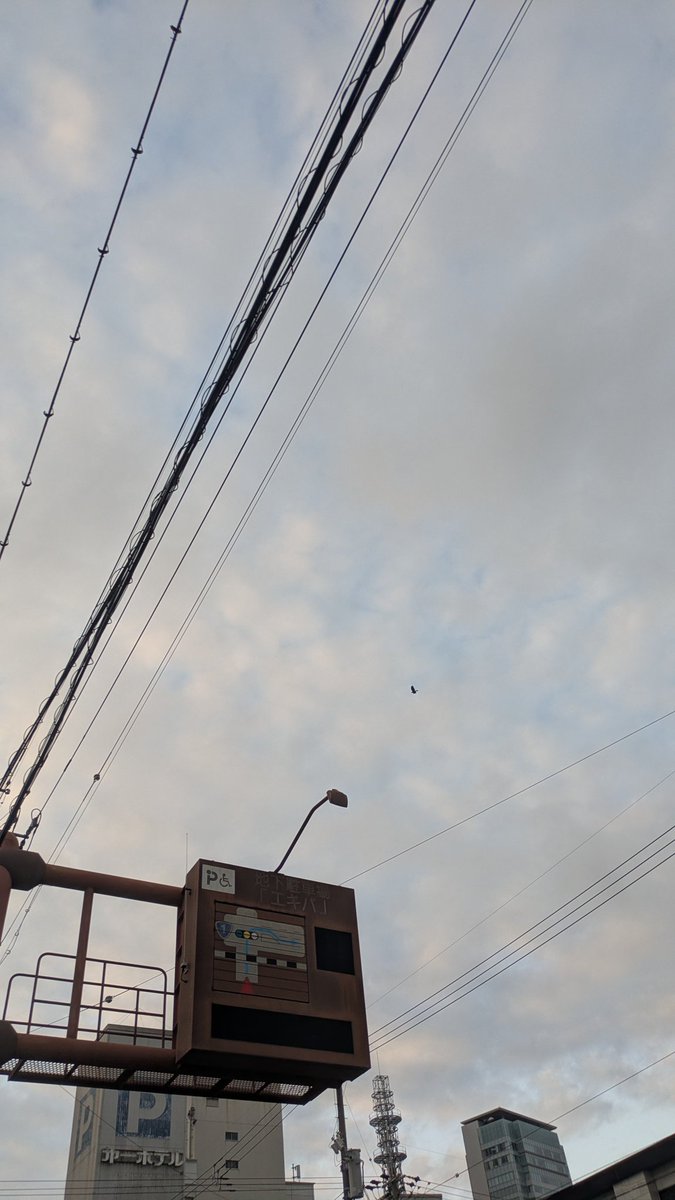 かっぱ (@gokappago) / Posts / X