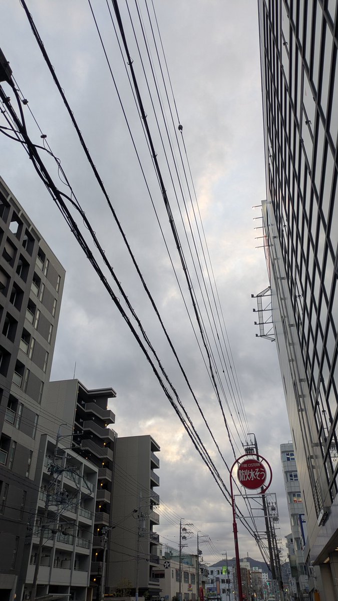 かっぱ (@gokappago) / Posts / X