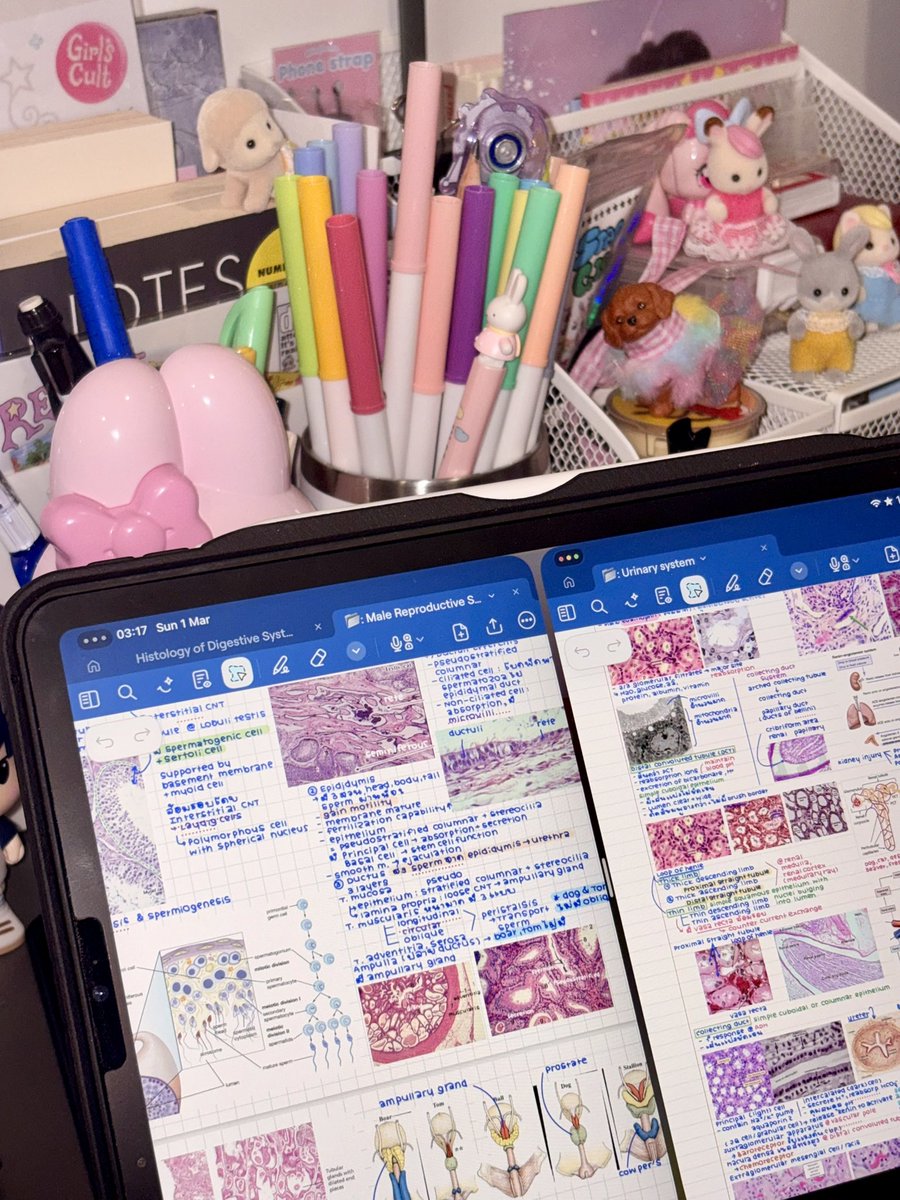 Bibbidiboooh's tweet photo. 🐩🪽📚✏️ for the upcoming final exam. https://t.co/tXC15RiG73