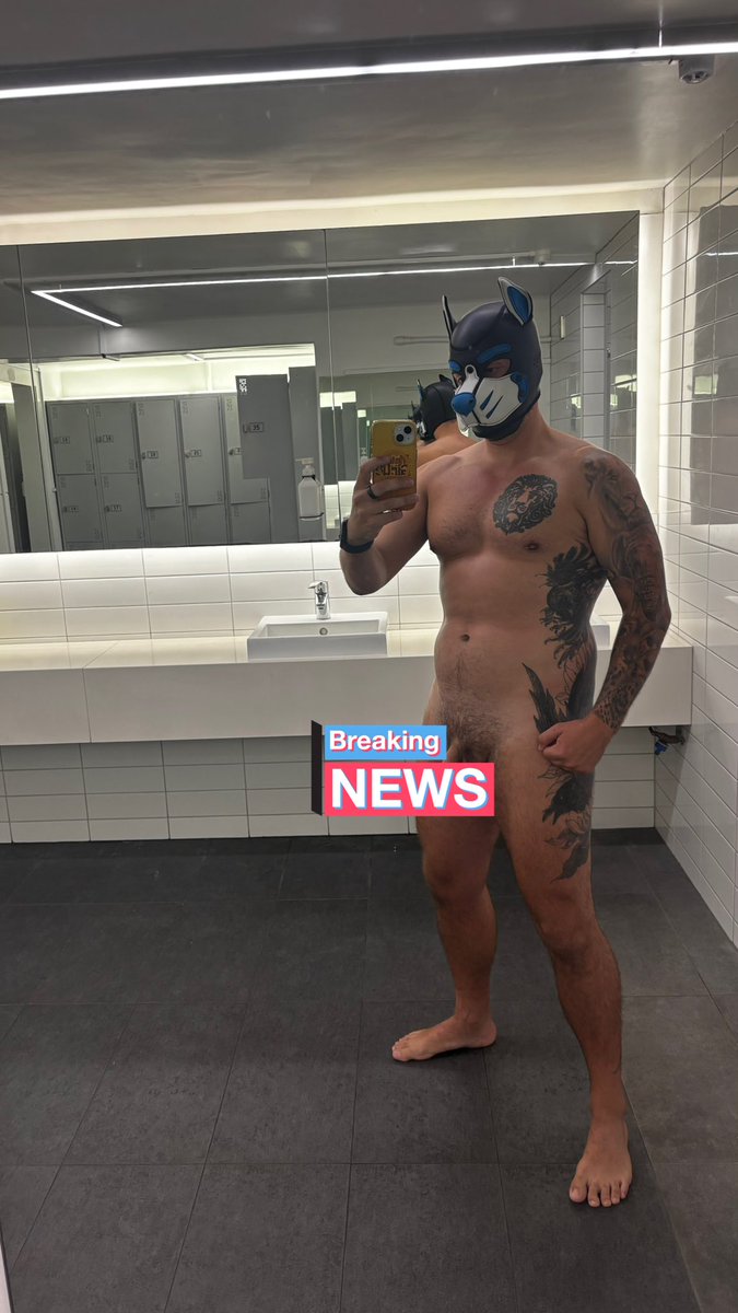Breaking news: dog goes to gym