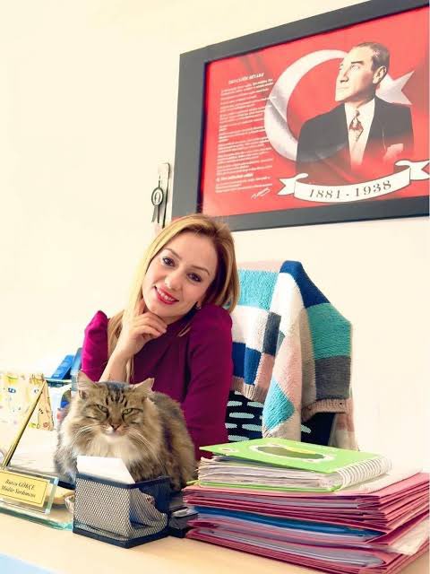 izmirgeyik's tweet photo. İzmir’de, bir okulda Müdür Yardımcısı olarak görev yapan Burcu Öğretmen, öğrencilere merhameti öğretmek amacıyla, 20 kedi, 4 köpek, 5 papağan ve 3 keçiyle “hayvansever okul” modeli oluşturdu. https://t.co/g6YYLkMY9P