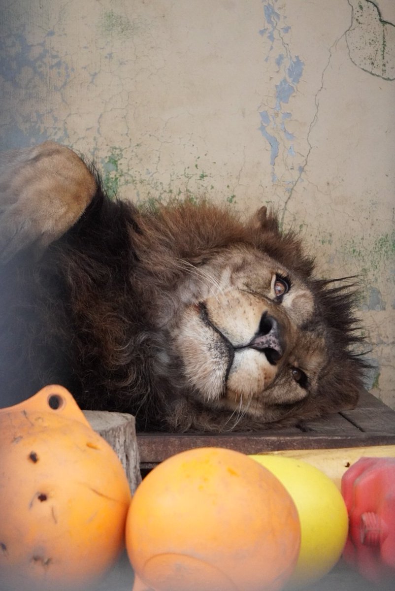 最終日は13時からの出勤。 待ちかねたよ〜 ちょっとメルヘン🤭 2026.2
