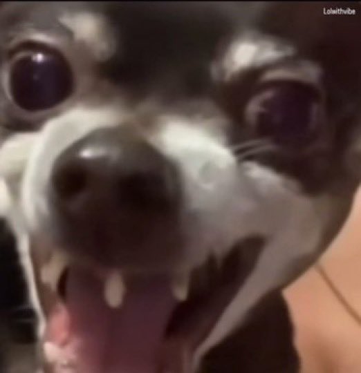 256Rootyherman's tweet image. *Iran Supreme leader has been k*lled

Iranians                             Random Africans