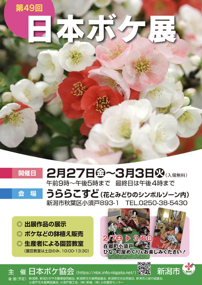 がんかす tweet media