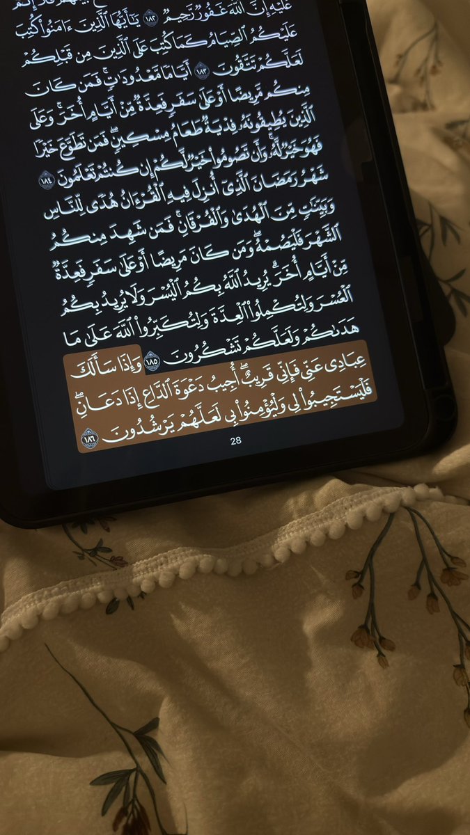 hoo200's tweet photo. - اللهم أعتق رقابنا ورقاب والدينا من النار
- اللهم أنك عفوٌ تحب العفو فأعف عنا
- اللهم يا مقلب القلوب ثبت قلوبنا على دينك
- اللهم إني أسألك الهدى والتقى والعفاف والغنى والفوز بالجنة والنجاة من النار
- اللهم آتنا في الدنيا حسنة وفي الآخرة حسنة وقنا عذاب النار. https://t.co/Le1uoMrqHU