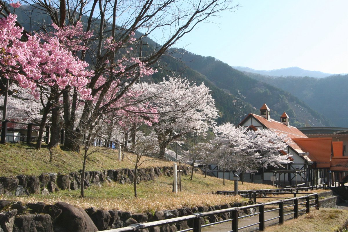 Photo Studio ふぉりんだ tweet media