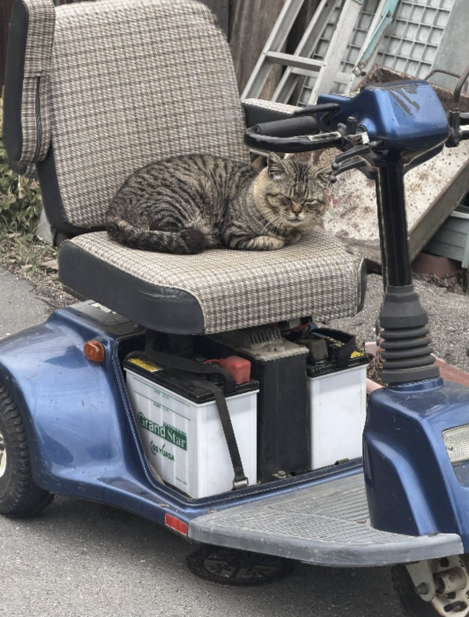 埼玉の仙人【4/11モカ風味CAF’E】 tweet media