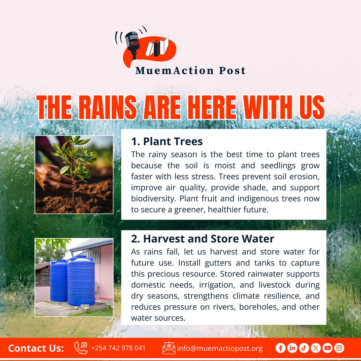 waharrisonb's tweet photo. This rainy season, let’s plant more trees and harvest water. Choose tree species suitable for your area and invest in affordable water solutions such as dam liners, tanks, and terraces.
#TakeActionNow https://t.co/MYLYVwaJNq