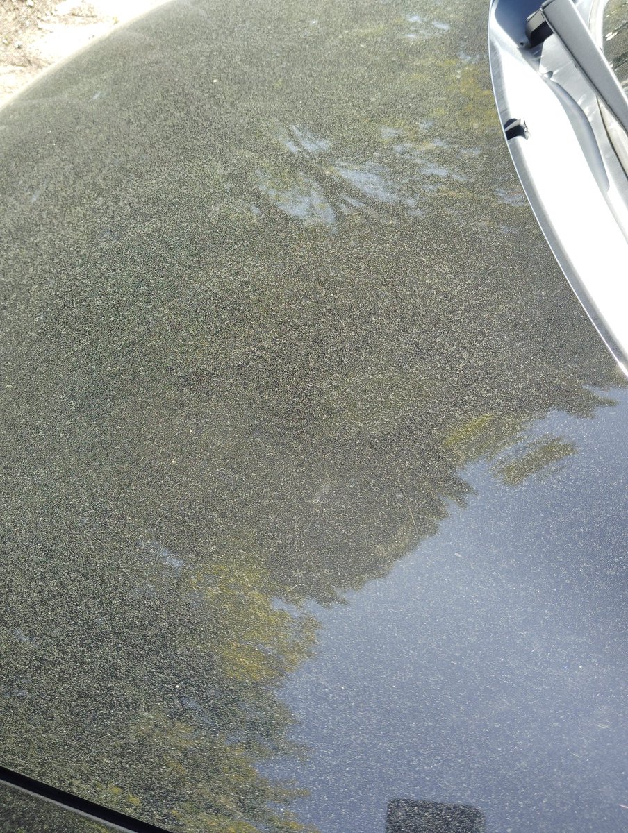 車に積もった花粉YABEEEEEEE