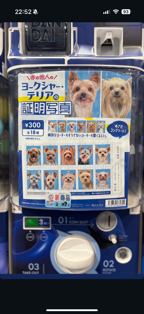 ヨークシャーテリアの証明写真ガチャ◓♡誰が出るかなっ💖フクちゃんは